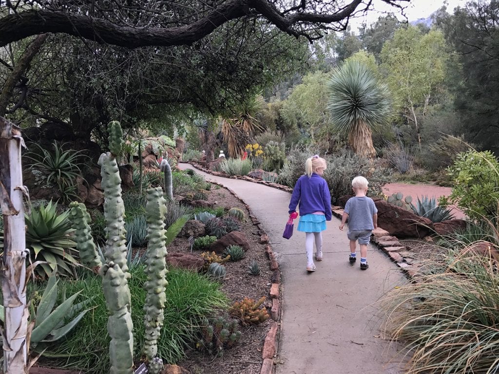 Things to do in Phoenix with Kids