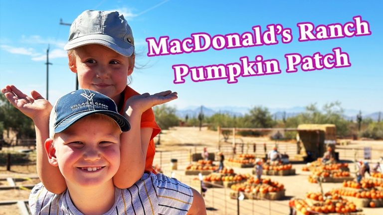 MacDonald's Ranch Pumpkin Patch in Scottsdale
