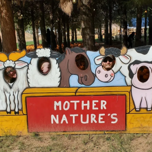 Mother Nature's Farm
