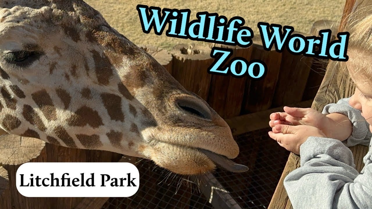 Wildlife World Zoo in Litchfield Park