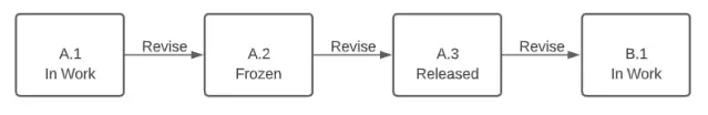 Primary and Secondary Revision Scheme